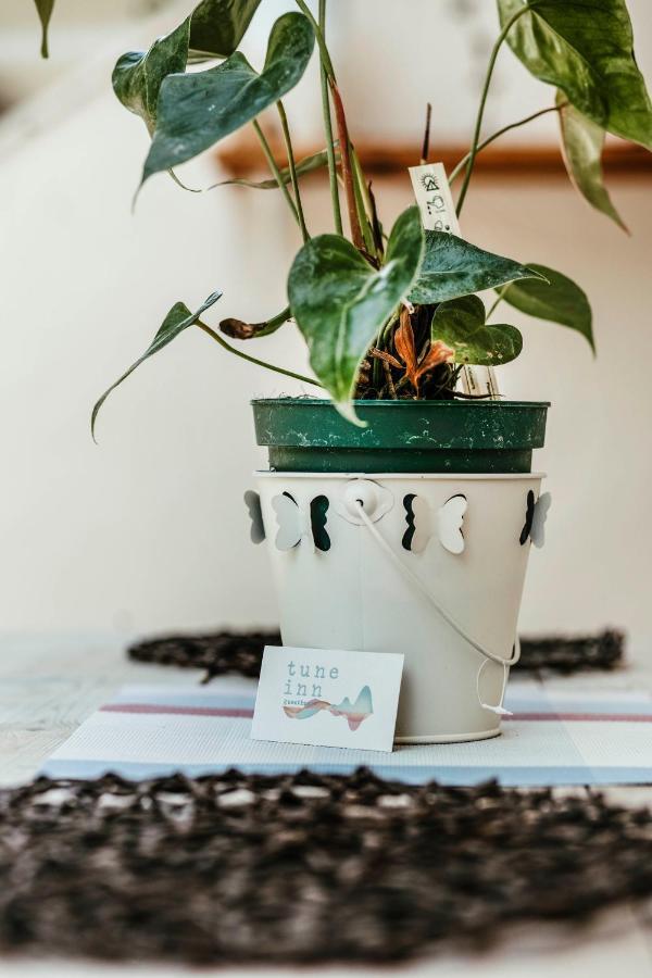 Tune Inn Activity Guesthouse- Over 24'S 입소스 외부 사진